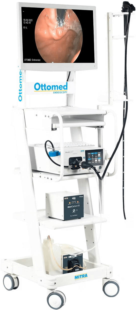 Gastrointestinal Endoscopes, Gastroscopes and Duodenoscopes